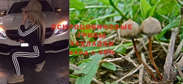 ALPHA-PVP Алексин