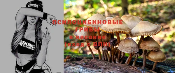 ALPHA-PVP Алексин
